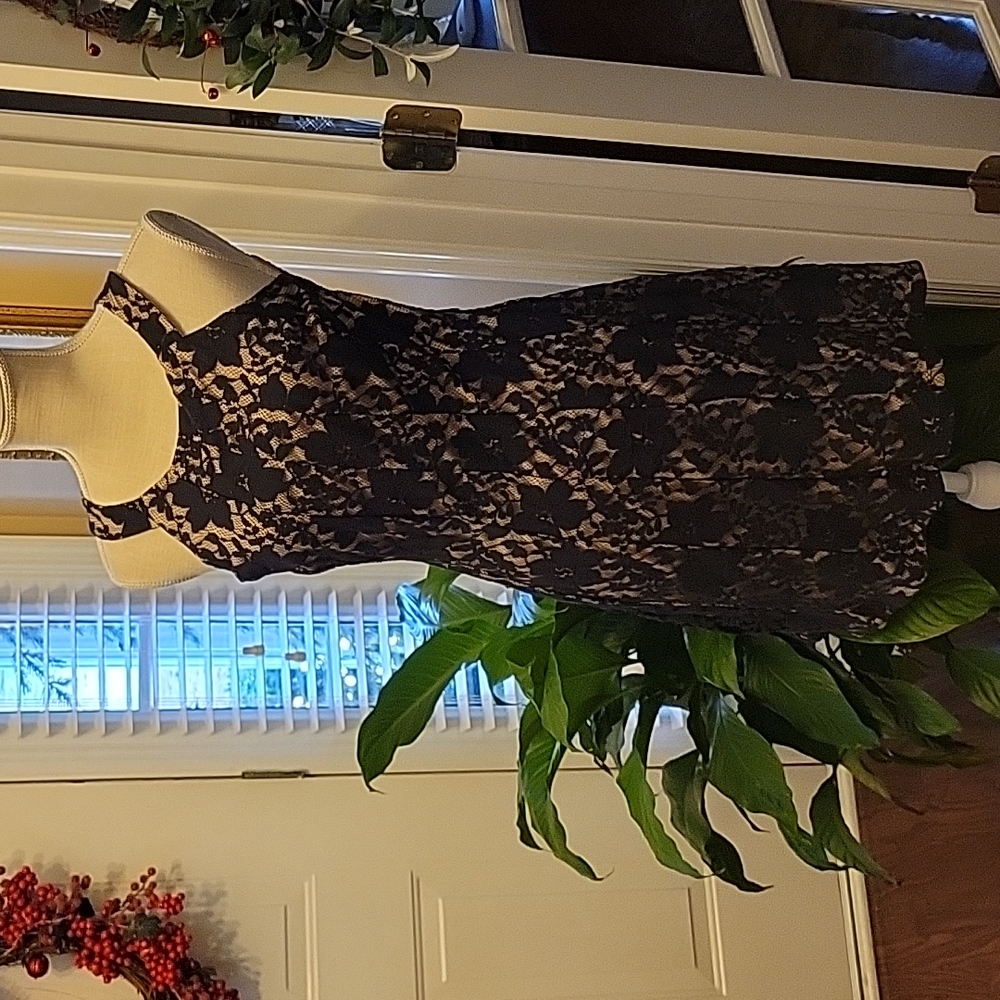 Enfocus Studio black lace sleeveless dress nude lining fit & flare size 6 EUC…